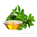 Oregano Oil 60 ٪ أفضل جودة